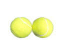 マルシン産業 硬式テニスボール イエロー NSX-045 NSX-045-YE 1