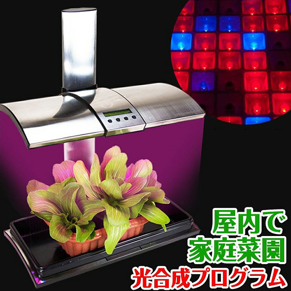 水耕栽培キット 植物育成 LEDライト付 吊下げ用チェーン ワイヤーフック  野菜栽培キット 栽培キット 植物育成ライト 家庭菜園 園芸 栽培 観葉植物 ガーデニング インテリア 父の日 プレゼント 自由研究 エコ SDGs サステナブル