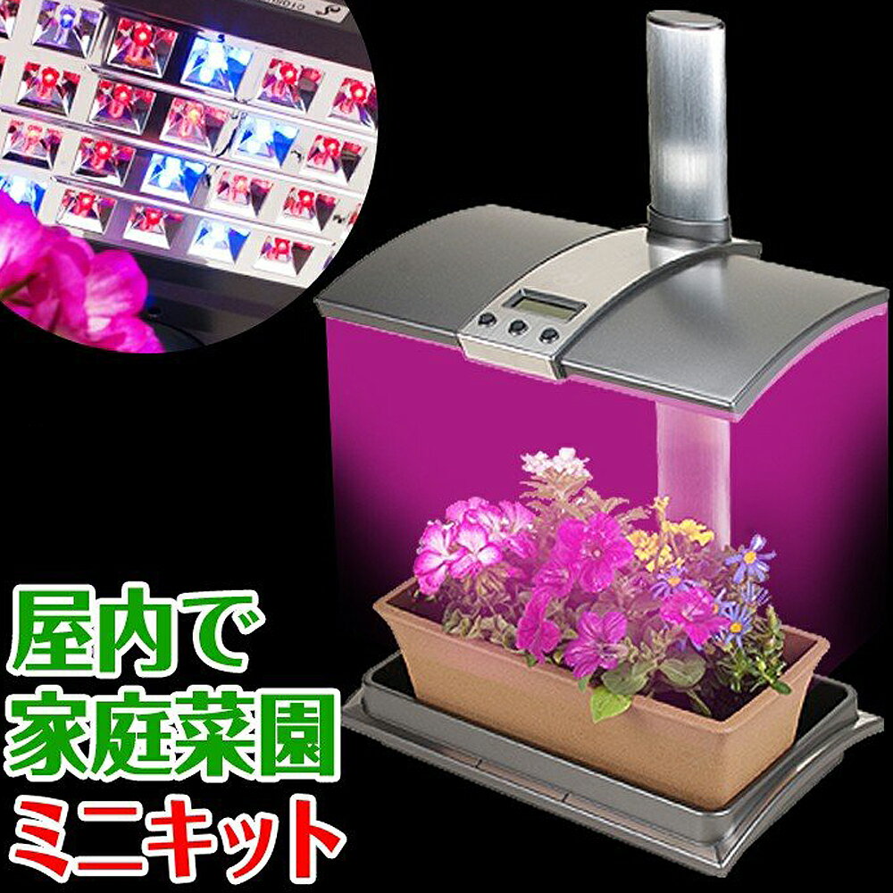 水耕栽培キット 植物育成 LEDライト付 省スペース型 コンパクト ミニサイズ 【 アーバンガーデン Urban Garden 】 野菜栽培キット 栽培キット 植物育成ライト 家庭菜園 園芸 栽培 観葉植物 ガーデニング インテリア 父の日 プレゼント 自由研究 エコ SDGs サステナブル 1