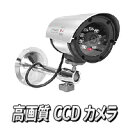 本物！赤外線CCD防犯カメラ【赤外線CCD防犯カメラ INFRARED CCD】