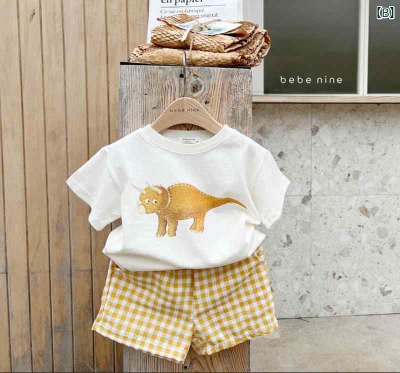 キッズ 上下セット 子供服 半袖 短パン かわいい 恐竜 コットン 格子柄 薄手 カジ...