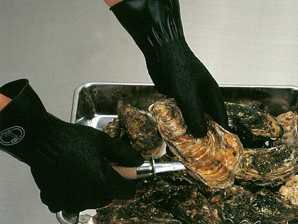 ���� ����� �建���ü쥹�٥�ߤᡪŷ��������ޡ�TOWA��211 ��Ĭ��΢̵����