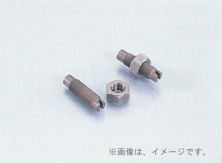 キタコ（KITACO）チタンナット&ロッカーアームアジャストスクリューSET モンキー.ゴリラ(303-0600000)