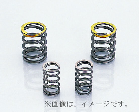 キタコ（KITACO）UTR・SEバルブスプリングSET モンキー.ゴリラ(303-1123200)
