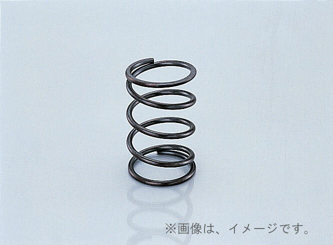 キタコ（KITACO）クラッチセンタースプリング Gアクシス100(307-0405240)