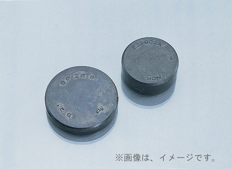 キタコ（KITACO）シールプラグKIT NSR50.NS50F.NS-1(320-1041000)