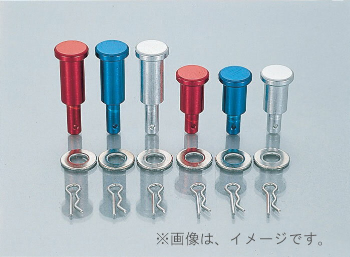 キタコ（KITACO）ピボットピン(シルバー) TZR50.TZR50R.TZM50R(527-0050000)