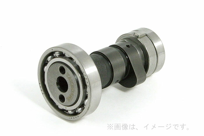 SP武川（タケガワ） カムシャフト (R-15) (01-08-0015D)