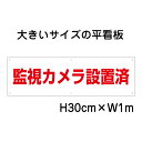 監視カメラ設置済看板【大きい看板】看板 高さ30cm 幅1m 穴6ヵ所 / パネル / プレートbigp-op-4