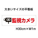 監視カメラ看板【大きい看板】看板 高さ30cm 幅1m 穴6ヵ所 / パネル / プレートbigp-op-40