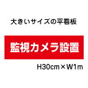 監視カメラ設置看板【大きい看板】看板 高さ30cm 幅1m 穴6ヵ所 / パネル / プレートbigp-op-43