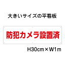 防犯カメラ設置済看板【大きい看板】看板 高さ30cm 幅1m 穴6ヵ所 / パネル / プレートbigp-op-52