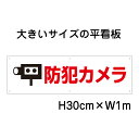 防犯カメラ看板【大きい看板】看板 高さ30cm 幅1m 穴6ヵ所 / パネル / プレートbigp-op-53