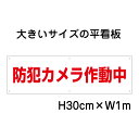 防犯カメラ作動中看板【大きい看板】看板 高さ30cm 幅1m 穴6ヵ所 / パネル / プレートbigp-op-54