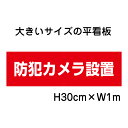 防犯カメラ作動中！看板看板 高さ30cm 幅1m 穴6ヵ所 / パネル / プレートbigp-op-55