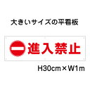 進入禁止看板【大きい看板】看板 高さ30cm 幅1m 穴6ヵ所 / パネル / プレートbigp-pktop-16