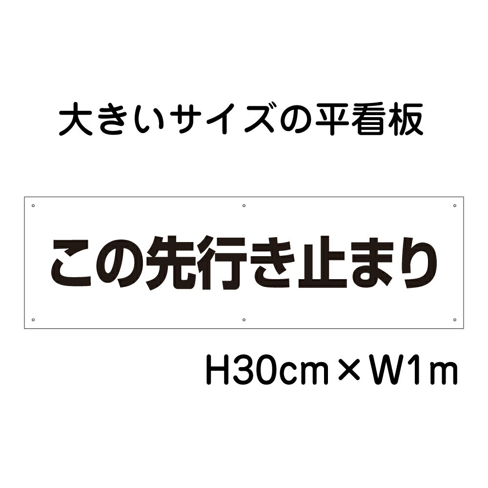 この先行き止まり看板【大きい看板】看板 高さ30cm 幅1m 穴6ヵ所 / パネル / プレートbigp-sp-6