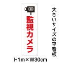 監視カメラ看板【大きい看板】看板 高さ1m 幅30cm 穴6ヵ所 / パネル / プレートbigp-op-40t