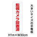 監視カメラ設置済看板【大きい看板】看板 高さ1m 幅30cm 穴6ヵ所 / パネル / プレートbigp-op-4t