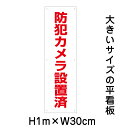 防犯カメラ設置済看板【大きい看板】看板 高さ1m 幅30cm 穴6ヵ所 / パネル / プレートbigp-op-52t