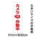 カメラ作動中看板【大きい看板】看板 高さ1m 幅30cm 穴6ヵ所 / パネル / プレートbigp-pktop-19t