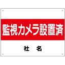 監視・防犯カメラ看板　【監視カメラ設置済み】看板 H45×W60cm 名（社名）入れ無料！特注内容変更可 駐車場看板/パネル/プレート S-11