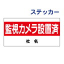 監視カメラ設置済ステッカー 【監視カメラ設置済】ステッカー H17.5×W35cm 名(社名)入れ無料! 駐車場ステッカー/シールタイプ S-11-2ST