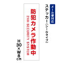防犯カメラ作動中 24H SECURITY SYSTEM /H30×W8cm 防犯ステッカー ステッカー 看板ステッカー 商品番号:ATT-001stt