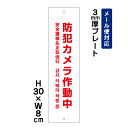 防犯カメラ作動中 24H SECURITY SYSTEM 外国語表記 (赤文字) /H30×W8cm プレート 看板プレート 商品番号:ATT-004t