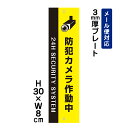 防犯カメラ作動中 24H SECURITY SYSTEM ピクト表示 /H30×W8cm プレート 看板プレート　商品番号：ATT-007t