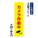 カメラ作動中 ピクト表示 /H30×W8cm プレート 看板プレート 商品番号:ATT-011t