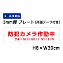 【両面テープ付き】防犯カメラ作動中 24H SECURITY SYSTEM /H8×W30cm プレート 看板プレート 商品番号:ATT-001-r