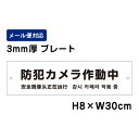 防犯カメラ作動中 24H SECURITY SYSTEM 外国語表記 /H8×W30cm プレート 看板プレート 商品番号:ATT-003
