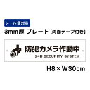 【両面テープ付き】 防犯カメラ作動中 24H SECURITY SYSTEM ピクト表示 /H8×W30cm プレート 看板プレート 商品番号:ATT-005-r