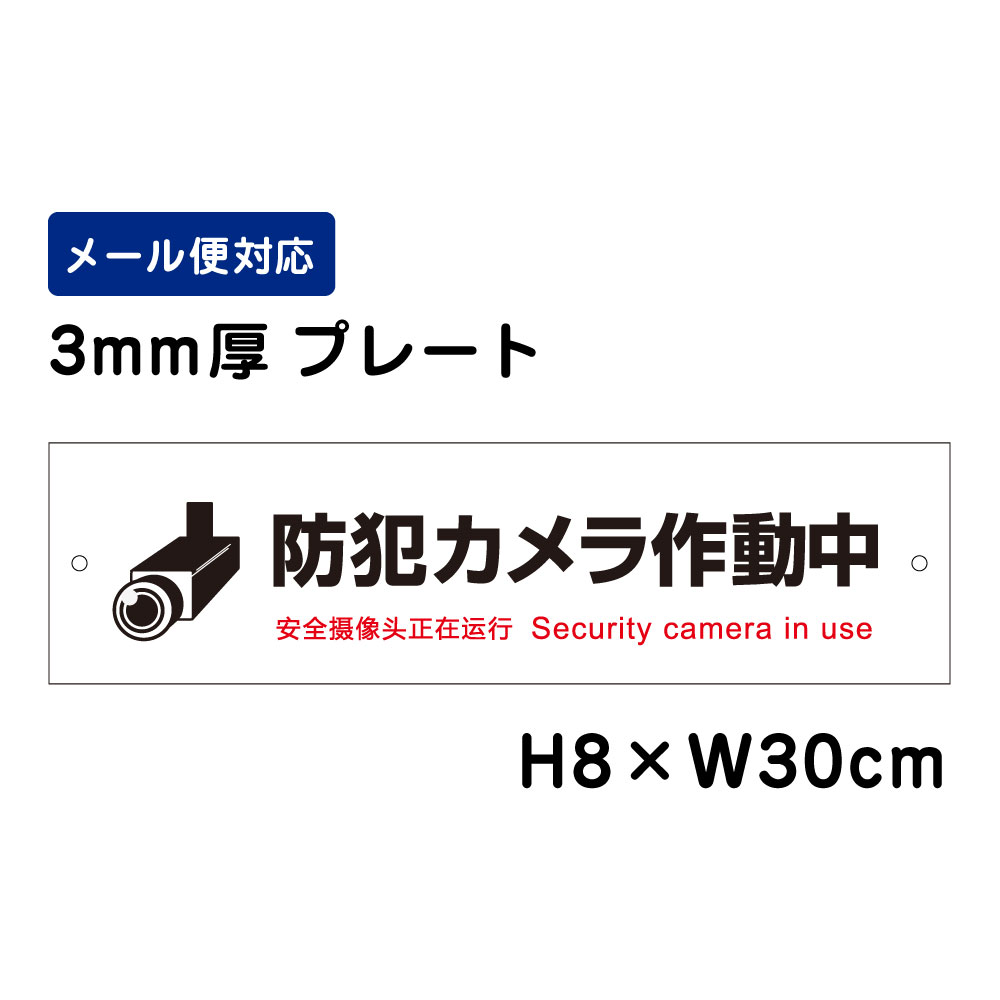 防犯カメラ作動中 24H Security camera in use ピクト表示 /H8×W30cm プレート 看板プレート　商品番号：ATT-006