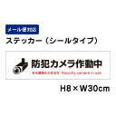 防犯カメラ作動中 24H Security camera in use ピクト表示 /H8×W30cm 防犯ステッカー ステッカー 看板ステッカー 商品番号:ATT-006sty