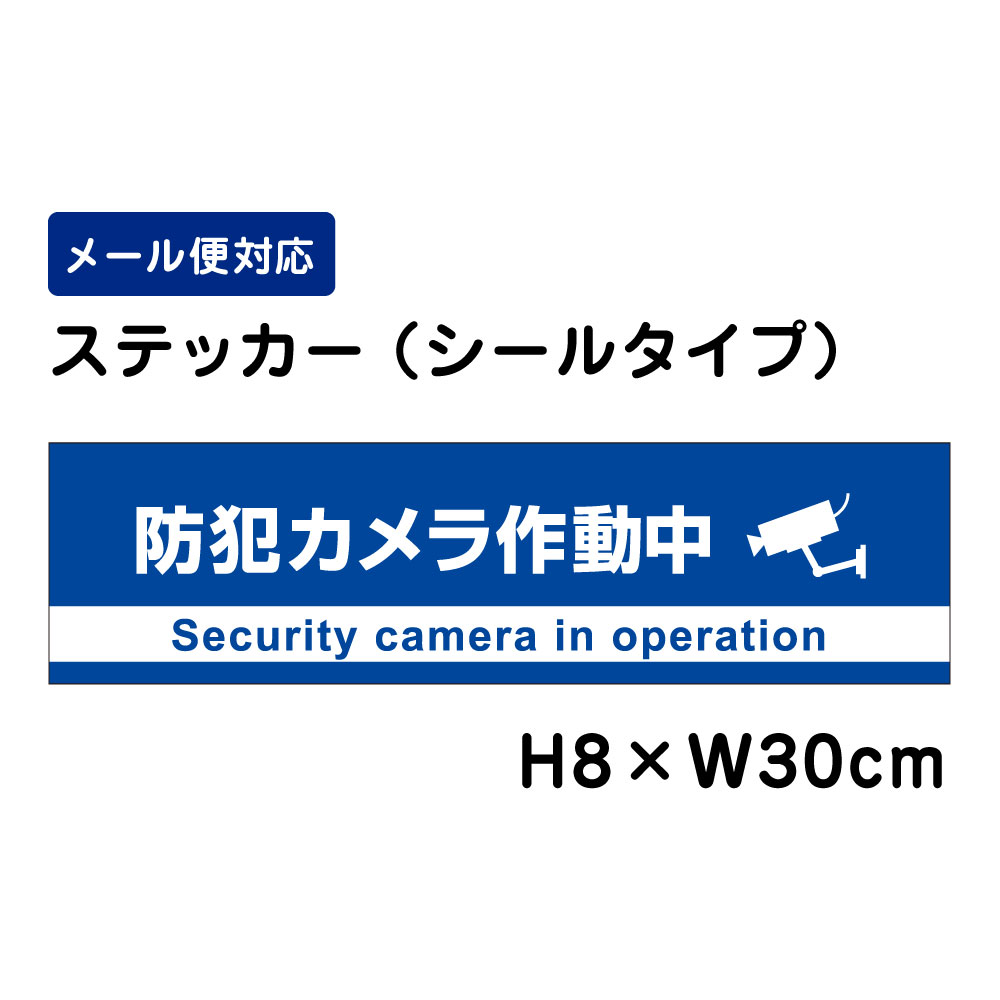 防犯カメラ作動中 24H SECURITY SYSTEM （青地）/H8×W30cm 防犯ステッカー ステッカー 看板ステッカー 商品番号：ATT-008sty