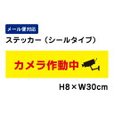カメラ作動中 ピクト表示 /H8×W30cm 防犯ステッカー ステッカー 看板ステッカー 商品番号:ATT-011sty