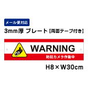 【両面テープ付き】 WARNING 防犯カメラ作動中 24H SECURITY SYSTEM /H8×W30cm プレート 看板プレート 商品番号：ATT-012-r