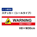 WARNING 防犯カメラ作動中 24H SECURITY SYSTEM /H8×W30cm 防犯ステッカー ステッカー 看板ステッカー 商品番号:ATT-012sty
