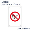 火気厳禁 ピクトサイン プレート H250×W165mm / ピクトグラム マーク 看板 禁煙 ピクト 標識 表示板 mark-06