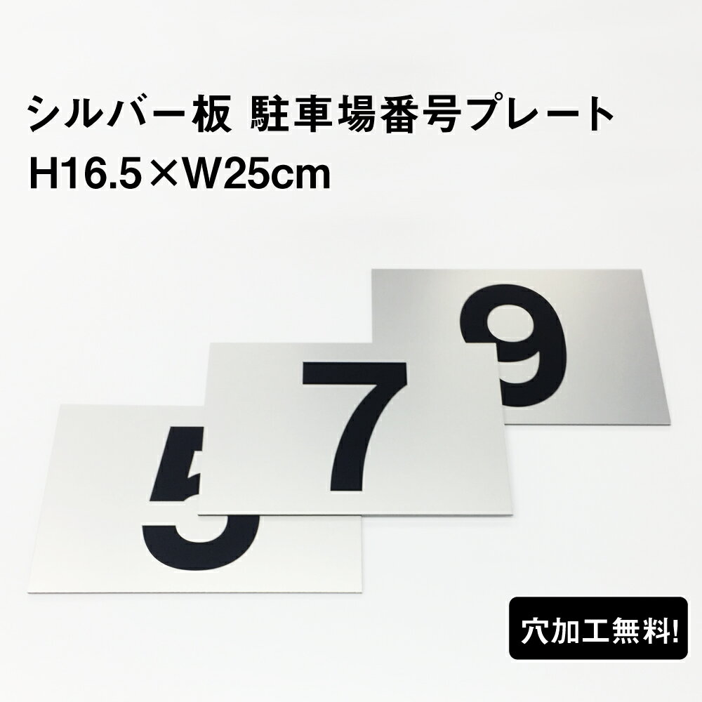 駐車場 看板 おしゃれ 番号 プレート シルバー色 【サイズ：H16.5×W25cm】 シルバーアルミ複合板 無料で穴加工します！ 番号札 ナンバープレート 商品番号：CN-101sv