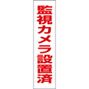 【 監視カメラ設置済 】 お手軽 プレート H40×W10cm OP-4T