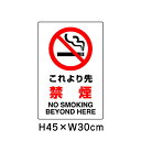 ▼ これより先 禁煙 JIS規格安全標識 2018年改正版 H45×W30cm / 看板 プレート 標識 エコユニボード un-802-171A