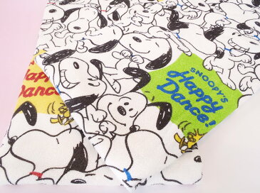 (2枚セット)スヌーピータオルケットシングル 西川 日本製 ハッピーダンス SNOOPY キャラクター