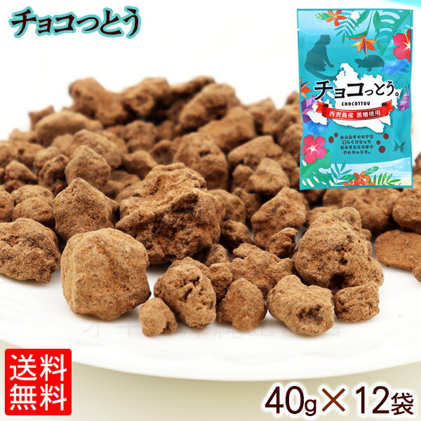 チョコっとう。 40g×12袋 沖縄 土産 ひとくち サイズ レターパック 送料無料 西表島産 黒糖 沖縄土産 沖縄 お土産 黒糖菓子 お菓子 チョコレート ココア おやつ お茶菓子 お茶請け お茶うけ バレンタイン ギフト お返し 琉球黒糖 オキコ