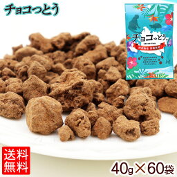 チョコっとう。 40g×60袋 沖縄土産 ひとくち サイズ 1ケース 送料無料 西表島産 黒糖 沖縄土産 沖縄 お土産 黒糖菓子 お菓子 チョコレート ココア おやつ お茶菓子 お茶請け お茶うけ バレンタイン ギフト お返し 琉球黒糖 オキコ