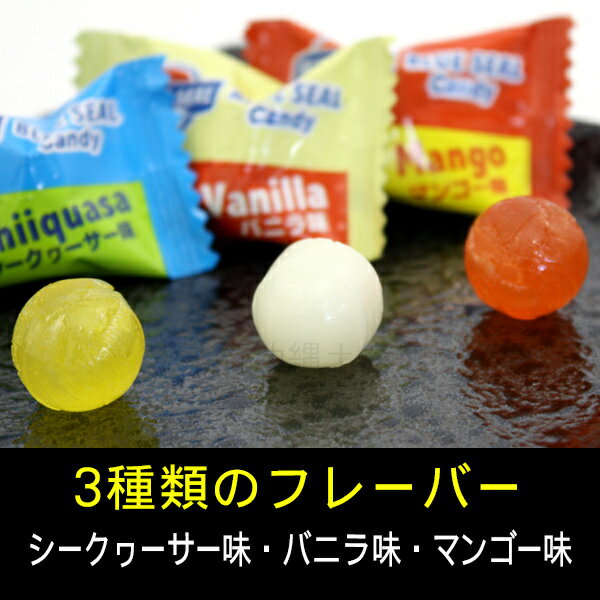 ブルーシールキャンディー 80g　│沖縄土産 お菓子│ 2