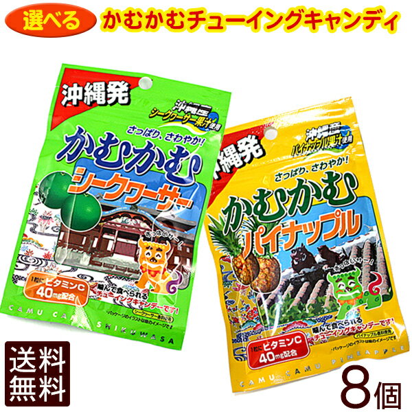 選べる！かむかむキャンディ8個セット 【メール便送料無料】 │沖縄土産 沖縄お土産 沖縄県お菓子│