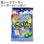 シーサーがいっぱい 塩シークワーサー 80g　/シークワーサーキャンディ 飴 沖縄お土産 お菓子